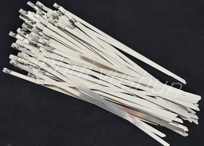 100mmのSS316束ステンレス製 ケーブルのタイのバックルのタイプ