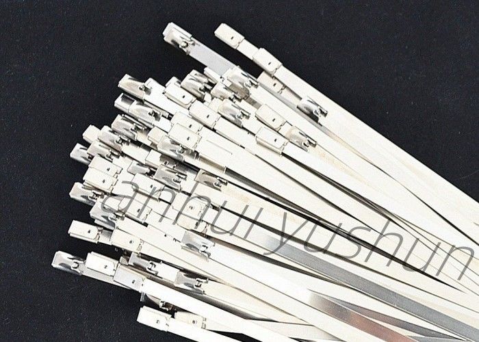 100mmのSS316束ステンレス製 ケーブルのタイのバックルのタイプ